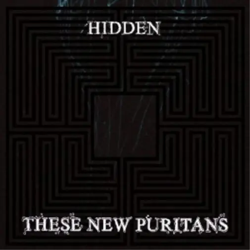 These New Puritans Hidden (CD) Special  Album