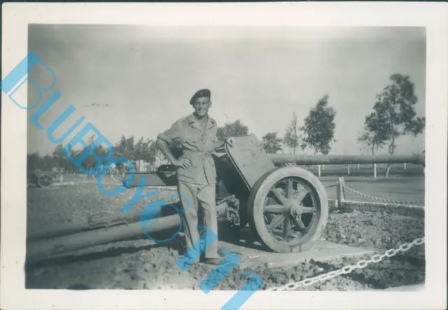 WW2 Photo Soldier Posing Near Captured Field Gun Egypt 3.5 x 2.5 inch