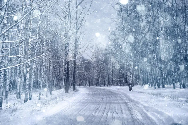 White Snow Forest Road Backdrop Winter Photo Background Photography Studio Props
