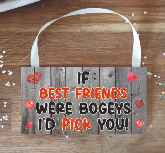 Best Friend Plakette - Wenn beste Freunde Bogeys wären - lustiges Geschenk - Sadnick Geschenke