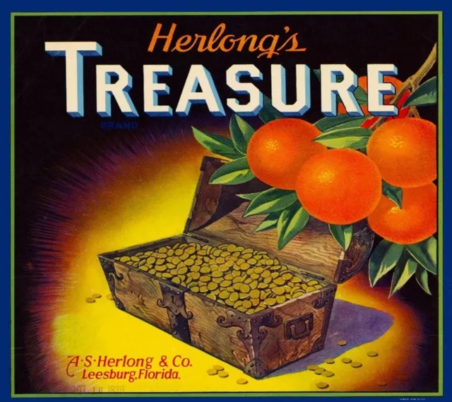 Herlong's Treasure Brand Orange Leesburg Florida Citrus Fruit Crate Label Print