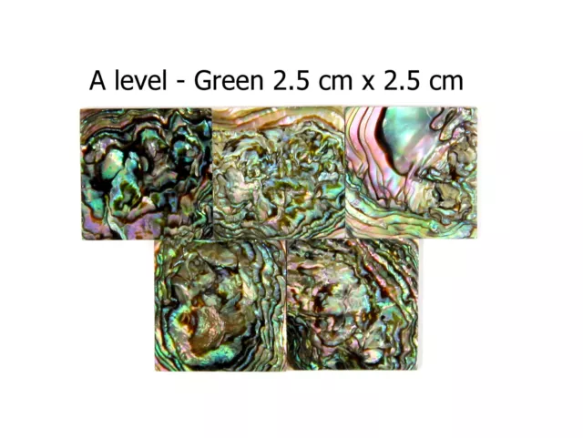 5 piezas de 2,5 cm cuadrado VERDE México carcasa de abulón. Incrustación de guitarra mosaico joyería