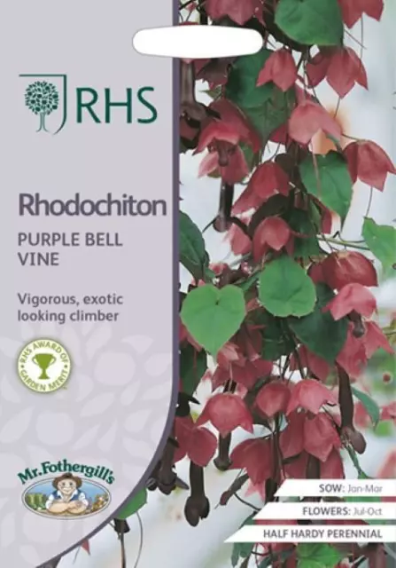 Rhodochiton purple bell vine  15 seeds    rhodochiton seeds    flower seeds