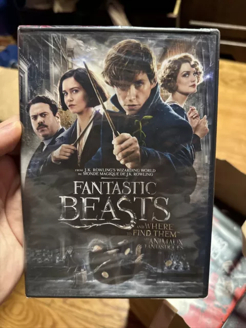 Fantastic Beasts and Where To Find Them (DVD)