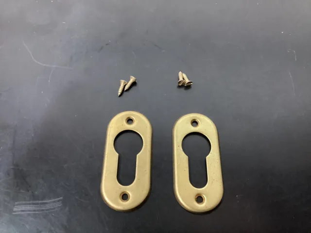 2 Brass Escutcheon Plates 2 1/4” X 1” (F7)