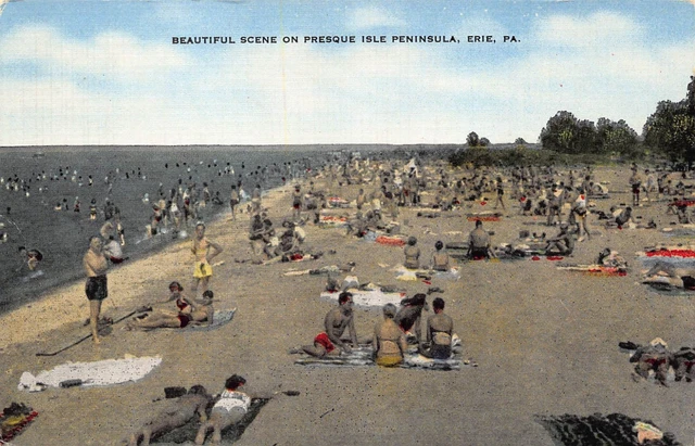 Vtg Postcard Men Women Kids Swimming Presque Isle Beach Erie Pennsylvania Pa B27