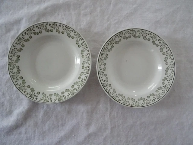 2 ASSIETTES  Saint Amand faience ancienne fleurs vertes 284112