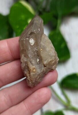 2" Rare CITRINE Untreated Crystal Point S3 Charged Zambia 24g *Read Below*