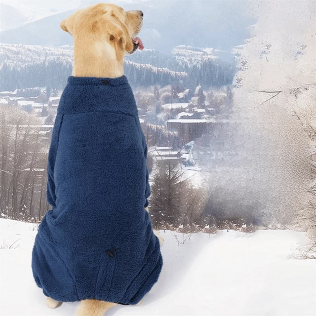 Baskets DVS Honcho Homme - Style Skate, Cuir Suédé Noir, Tige Mi-haute - Modèle DVF0000333007