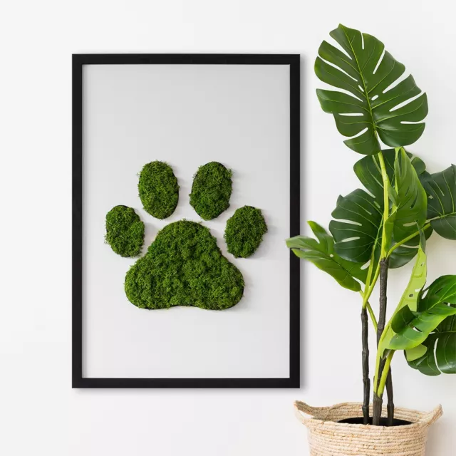 Immagine Muschio Foresta Muschio Cornice MDF nero 40x60 cm- Impronta di piede