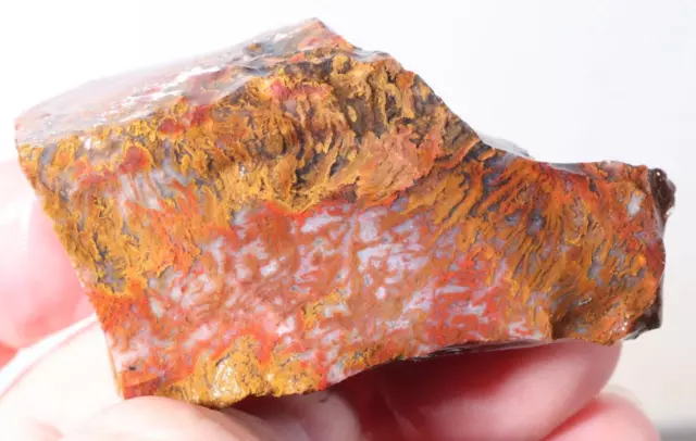 Wingate Plume Agate lapidary 1.8 oz  small rough .99¢ start