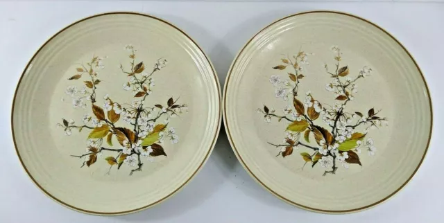 Royal Doulton Wild Cherry Dinner Plates Set Of 2 England Lambethware 10" Vintage