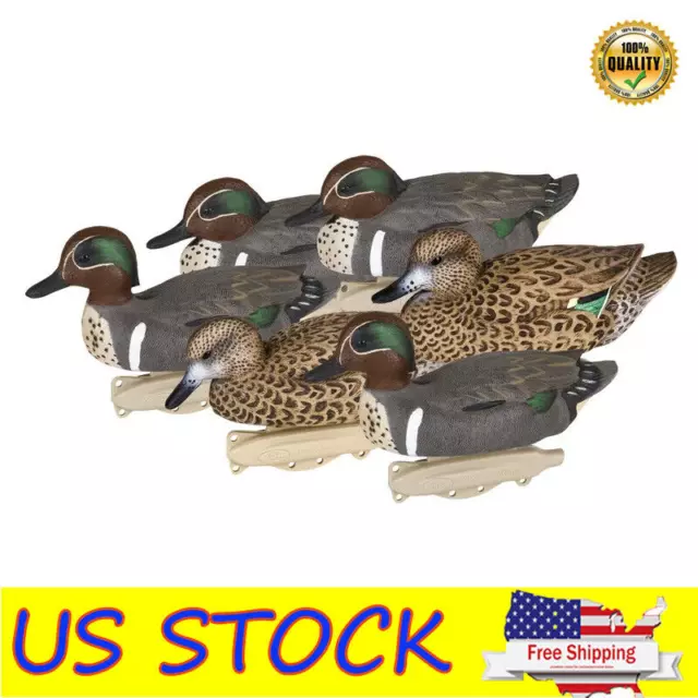 6 Pack Outdoor Storm Front 2 Green Winged Teal Decoys 10.5'' Waterfowl Floaters