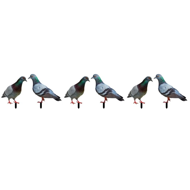 6 pièces jardin acrylique cour yard sign pigeon yard sign garden pigeon insert