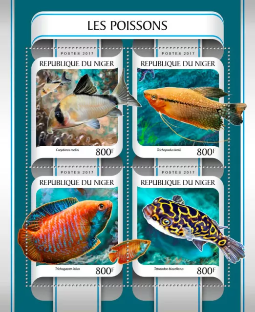 Fish Stamps Niger 2017 MNH Fishes Pufferfish Dwarf Gourami 4v M/S
