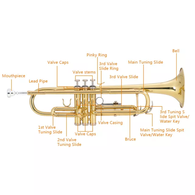 Glarry Brass Trumpet Bb with 7C Mouthpiece for Student or Beginner Golden 3