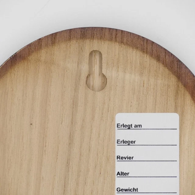 5 Pieza Keilerschilder Tablero Keiler Gewaffbrett Escudo de Trofeo Oscuro AF11cm 2