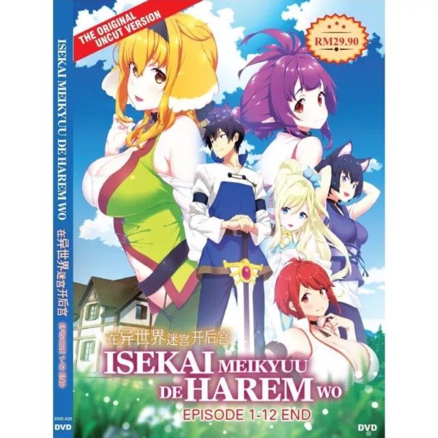 DVD ANIME VERSIÓN SIN CORTAR Isekai Meikyuu de Harem wo Volumen 1