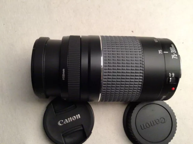 Canon EF 75-300mm f/4.0-5.6 III Lens