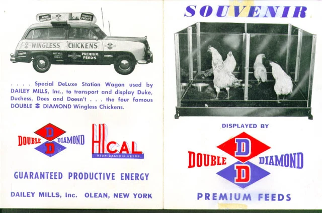 Double Diamond Wingless Chickens Souvenir Card 1950s