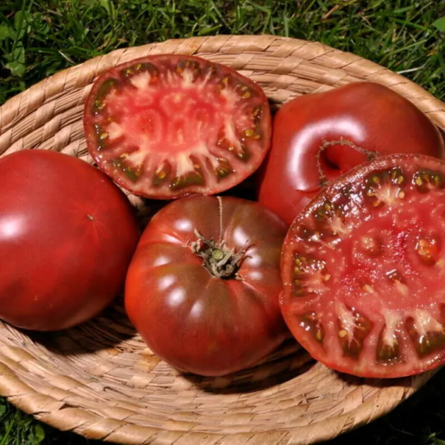 40 graines de Tomate côtelée Noire de Crimée  BLACK KRIM TOMATO SEEDS