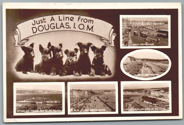 Just A Line From Douglas Isle Of Man Dogs Multi View Real Photo Postcard 1956 RP
