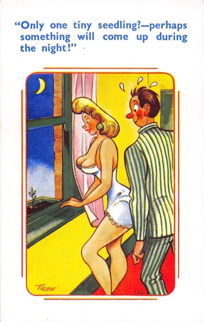POSTCARD  COMIC    RISQUE   Courting  Couple  Bedroom  Seedling