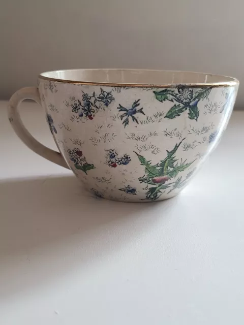 Ancienne Tasse Faience Digoin & Sarreguemines Decor Chardon Et Floral