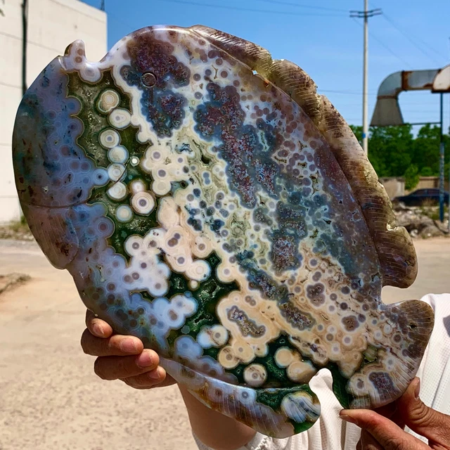 3.3LB Amazing Natural Ocean Jasper Crystal Carved Fish Jasper Halo Stone