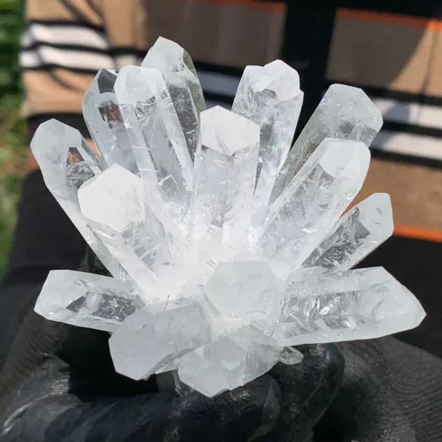 224G New Find white Phantom Quartz Crystal Cluster Mineral Specimen Healing