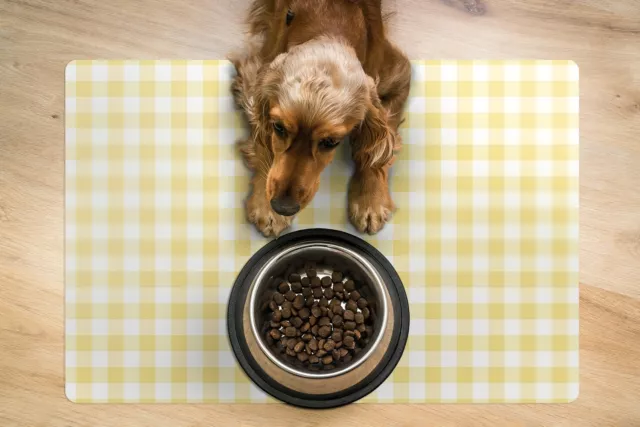 Easy Clean Dog Puppy Cat Feeding Mat Food Pad under Bowl  Yellow hook 2