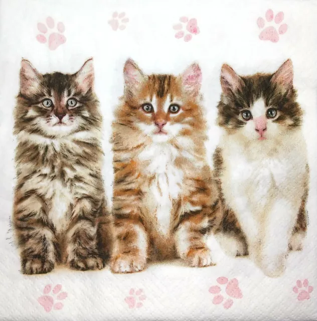 M811# 3x Single Paper Napkins Decoupage Craft Tabby Grey Brown Pussy Cat Kittens