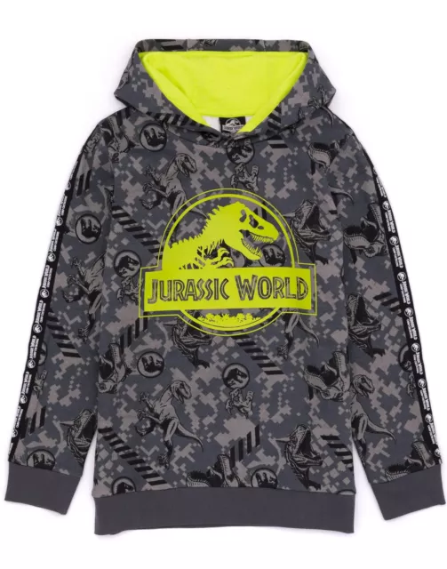 Jurassic World Hoodie Kids Boys Camp Cretaceous T Rex Grey Sweater