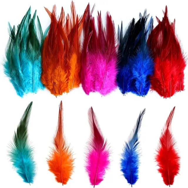 HaiMay 200 Pieces Red Feathers for Craft Wedding Home Party Decorations,  3-6 Inches Saddle Hackle Rooster Feathers Craft Feathers