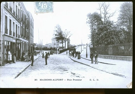 Houses Alfort Rue Pasteur