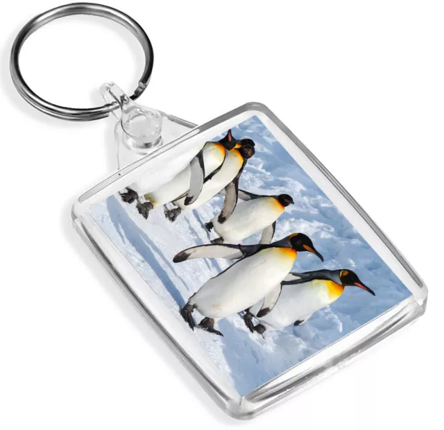 Emperor Penguin March Keyring Happy Snowy Feet Fun Keyring Gift #15722