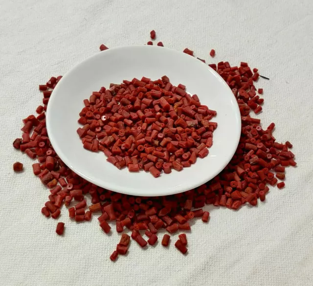 Mediterranean Red Coral Gemstone Loose Rough Unpolished Bead 50 Pcs Lot