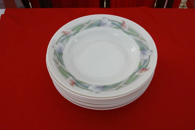 Lot De 9 Assiettes Creuses Arcopal – Déco Florale – Multicouleur – Occasion