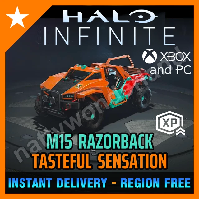 Halo Infinite Rare Skins FOR SALE! - PicClick UK