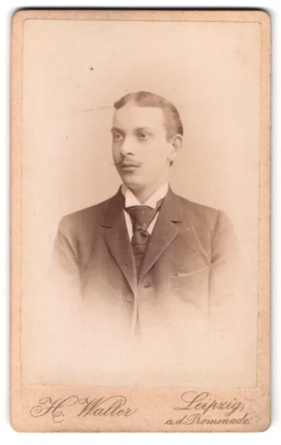 Fotografie H. Walter, Leipzig, an der Promenade, Portrait junger Herr im Anzug