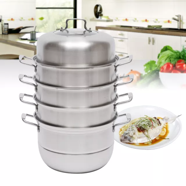 Steamer Pot for Cooking 11.8 Inch Steam Pots with Lid 2-Tier Stainless  Steel Ste