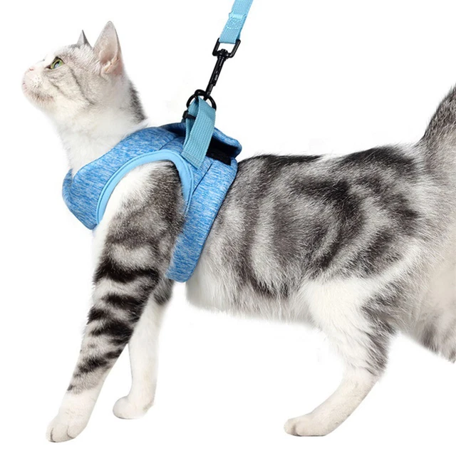 Harnais légers pour animaux de compagnie Sangle de traction pour chat créative 2