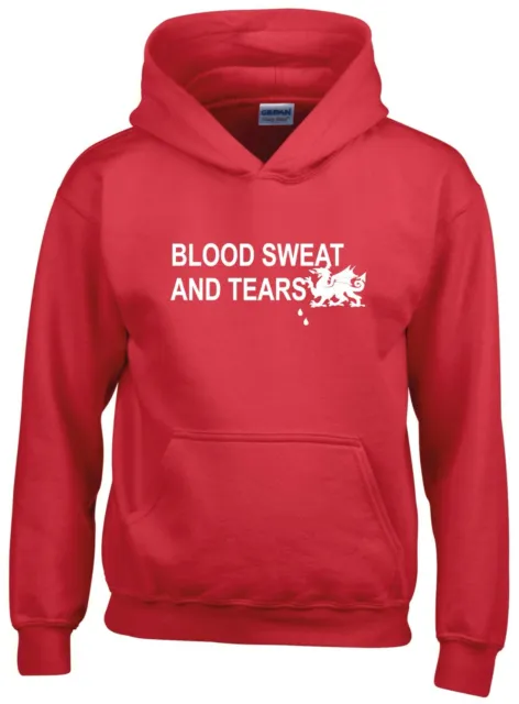 Felpe con cappuccio Wales Blood Sweat & Tears Rugby Nations 6 bambini 2