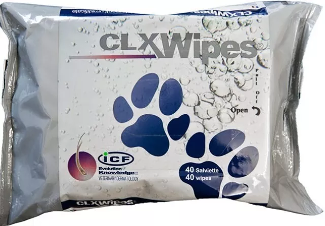 Salviette Clx 40 Pz Wipes Icf