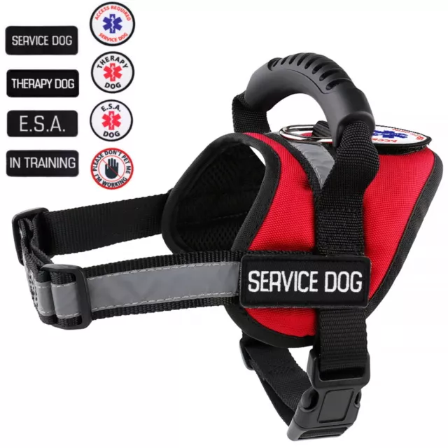 Service Dog - Therapy Dog - Support Dog Vest Patches Harness ALL ACCESS CANINE™