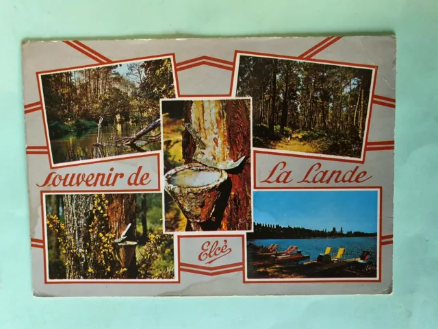 Carte Postale des Landes GF 1972 Souvenir de la Lande