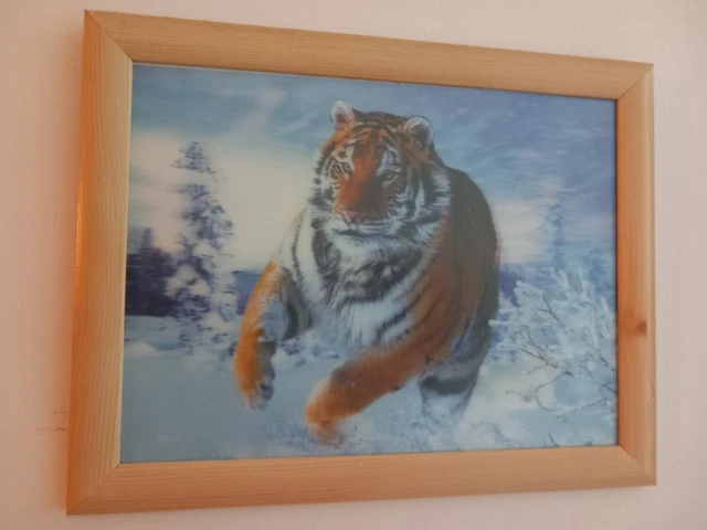 Quadro TIGER su Pannello lucido incorniciato 45x35 Cm