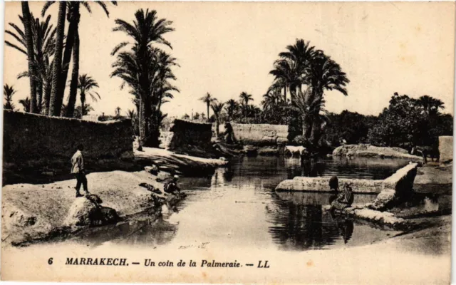 CPA Maroc Marrakech - Un coin de la Palmeraie (280457)