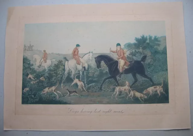 Philibert Louis Debucourt:  Jagd Hunde 1820/Hunt Dogs Print Radierung Vernet