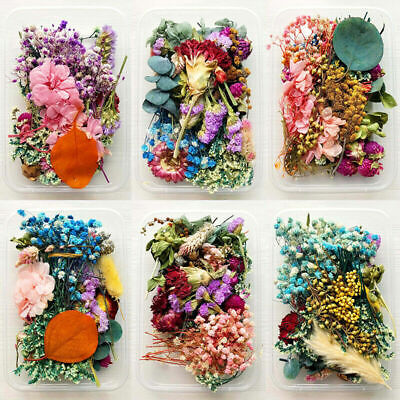 1 caja de flores secas reales para decoración artística artesanal hágalo usted mismo